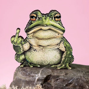 Könnte beinhalten: Ein grüner Frosch mit einem mürrischen Gesichtsausdruck zeigt den Mittelfinger. Der Frosch sitzt auf einem Stein.
