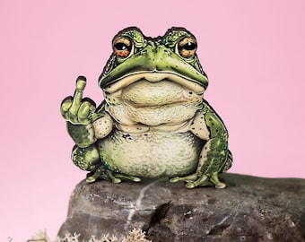 FROG YOU ++ Whimsical wooden brooch pin vintage style gift surreal collage frog toad middle finger funny gift green jewerly