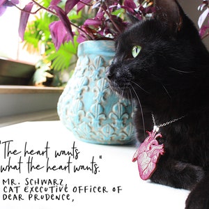 May include: A black cat wearing a silver chain necklace with a red anatomical heart pendant. The cat is looking to the right. The text "The heart wants what the heart wants. MR. SCHWARZ, CAT Executive OFFICER OF DEAR PRODence," is written below the cat.