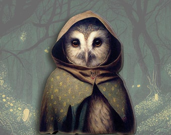 THE FELLOWLSHIP ++ hooded barn owl cosplay cloak Whimsical wooden brooch pin vintage style gift surreal collage jewelry spirit animal