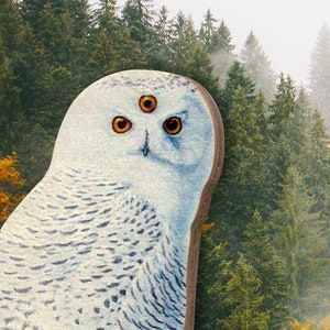 Whimsical wooden brooch "THIRD EYE OWL" snowowl