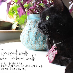 May include: A black cat wearing a silver chain necklace with a red anatomical heart pendant. The cat is looking to the right. The text "The heart wants what the heart wants. MR. SCHWARZ, CAT Executive OFFICER OF DEAR PRODence," is written below the cat.