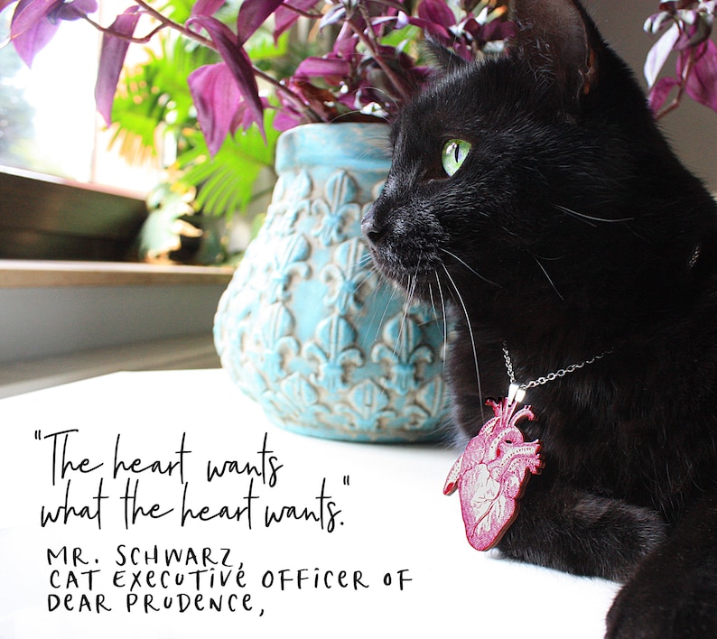 May include: A black cat wearing a silver chain necklace with a red anatomical heart pendant. The cat is looking to the right. The text "The heart wants what the heart wants. MR. SCHWARZ, CAT Executive OFFICER OF DEAR PRODence," is written below the cat.