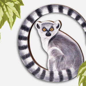 Può includere: Un lemure catta bianco e nero con occhi gialli è seduto all'interno di un cerchio formato dalla sua coda arrotolata. Il lemure è rivolto in avanti con la testa leggermente inclinata di lato. Lo sfondo è grigio chiaro.
