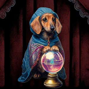 WIENER OF FORTUNE ++ broszka pin jamnik kostium jasnowidz wróżka kryształowa kula biżuteria vintage pies kolaż