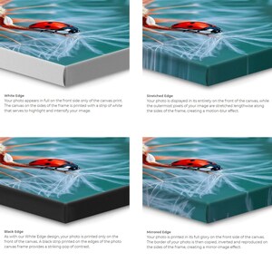 May include: Four different canvas print edge options are shown: white edge, stretched edge, black edge, and mirrored edge. Each option shows a close-up of the edge of a canvas print with a ladybug on a dandelion seed.