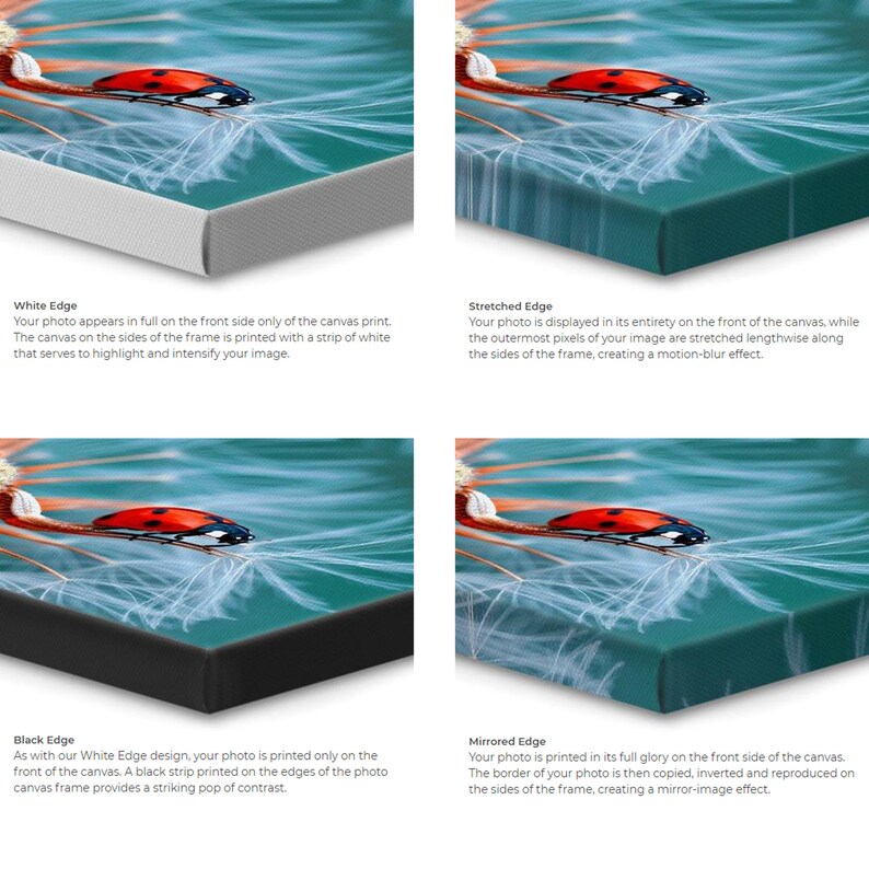 May include: Four different canvas print edge options are shown: white edge, stretched edge, black edge, and mirrored edge. Each option shows a close-up of the edge of a canvas print with a ladybug on a dandelion seed.