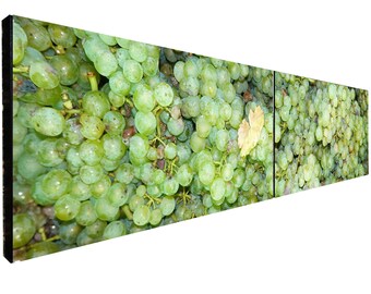 Green grapes Riesling Vineyard Löwenstein, Germany - Fine Art Photography - D07380d1 - Giclée print on canvas / diptych - long wall art