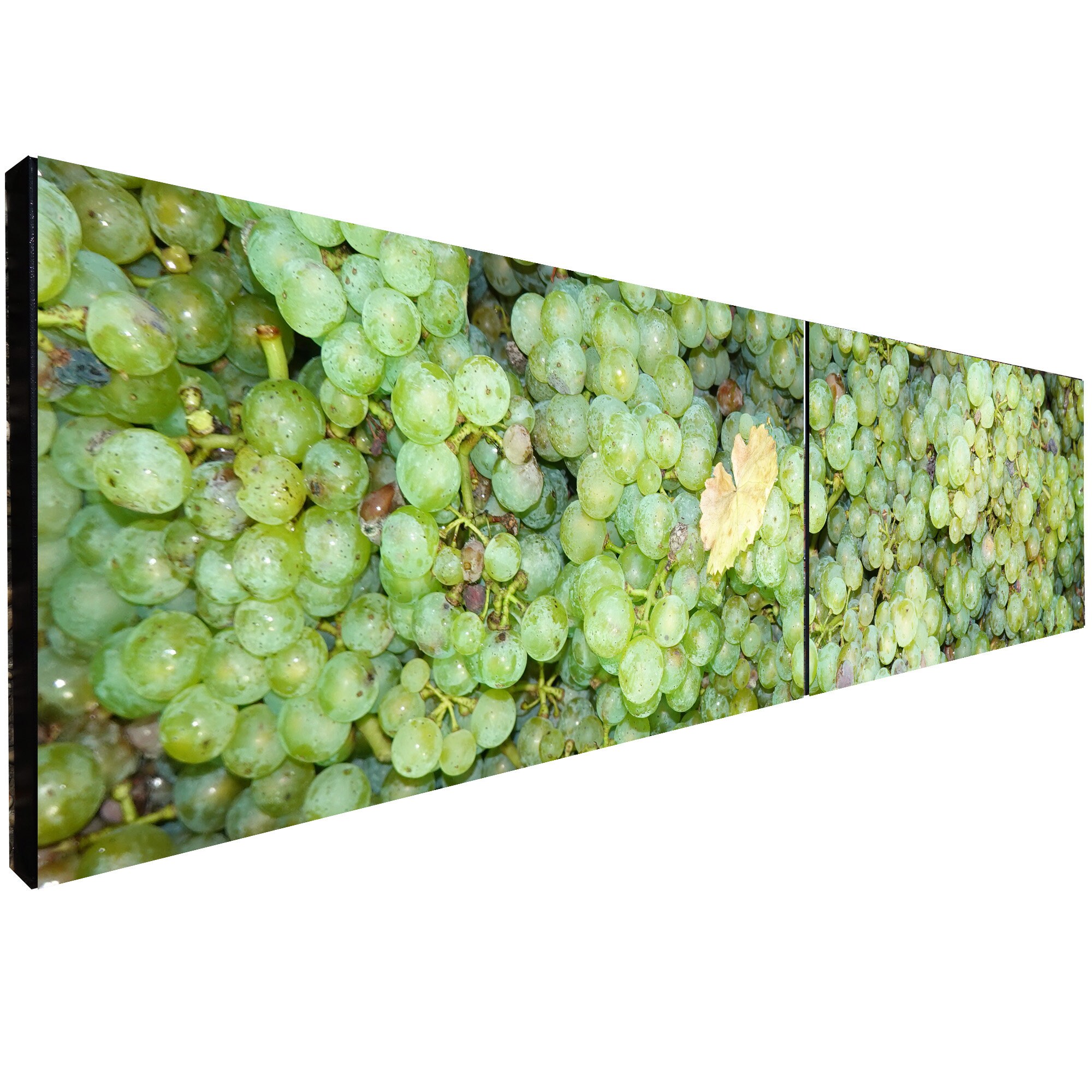 Green grapes Riesling Vineyard Löwenstein, Germany - Fine Art Photography - D07380d1 - Giclée print on canvas / diptych - long wall art