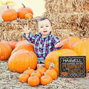 PUMPKIN PATCH Personalized Custom Photo Prop Chalkboard Sign - Cutest Little Pumpkin in the Patch
