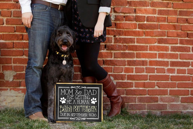 Pregnancy DOG Announcement Mom & Dad are getting me a HUMAN Chalkboard Sign Digital Download Get it FAST Today Canvas or Frame Print image 1