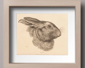 Vintage Rabbit Print, Rabbit illustration, Rabbit Art, Printable Art,  INSTANT DOWNLOAD