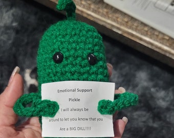 Pattern for Positive/Emotional Support Pickle Crochet Pattern With Sign/Saying
