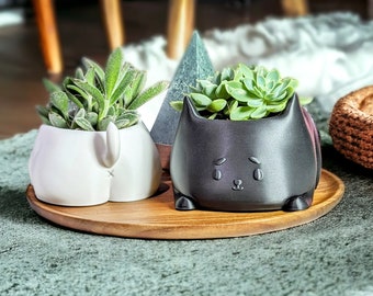 Cat Planter | Cute Kitty Indoor or Outdoor Plant Pot with Drainage | Succulent Planter | Cat Gifts | 3D Printed | Black Cat | Small Planter