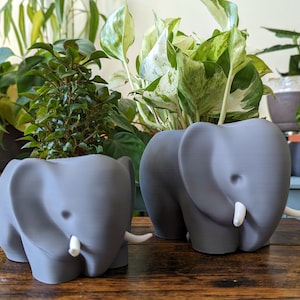 Elephant Planter | Succulent Pot | Indoor Animal Planter Gift | Desk Plant Decor | Cactus Plant Pot | For Her 3D Printed Elephant