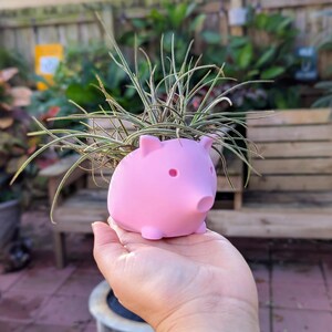 Pig Planter – Cute Pig Succulent Pot with Drainage, Small Animal Plant Pot for Indoor & Outdoor, Pig Lover Gift, 3D Printed, Farm Decor