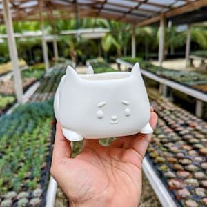 Cat Planter – Cute Kitty Succulent Pot with Drainage, Small Indoor & Outdoor Plant Pot, Cat Gift, 3D Printed, Mini Animal Planter Cute Decor