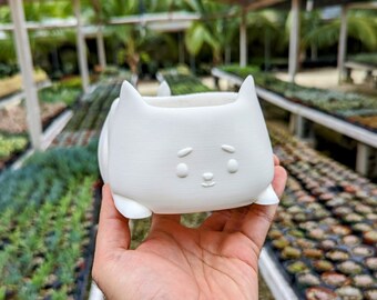 Cat Planter | Cute Kitty Indoor or Outdoor Plant Pot with Drainage | Succulent Planter | Cat Gifts | 3D Printed | Black Cat | Small Planter