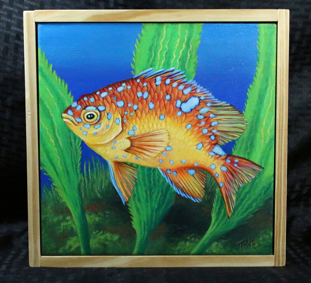 Garibaldi Baby Fish Original Oil Painting by Tish Wynne 10 X Etsy UK