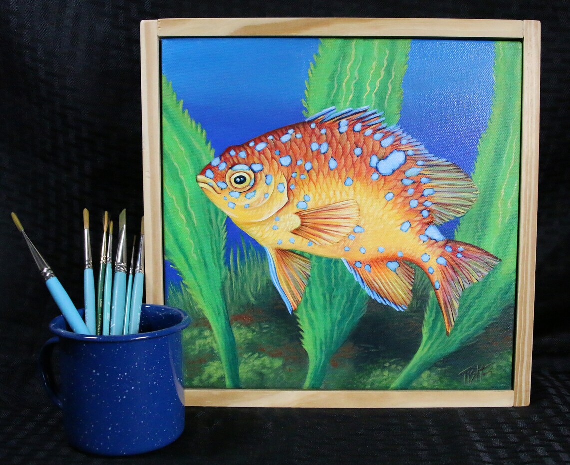 Garibaldi Baby Fish Original Oil Painting by Tish Wynne 10 X Etsy UK