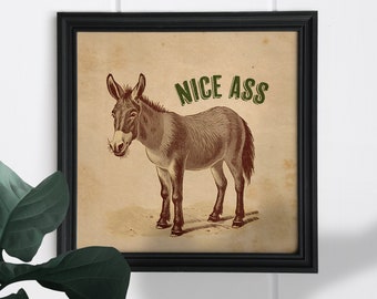 Nice Ass Bathroom Print, funny bathroom art, donkey lover, Bathroom decor, toilet humour, quirky print