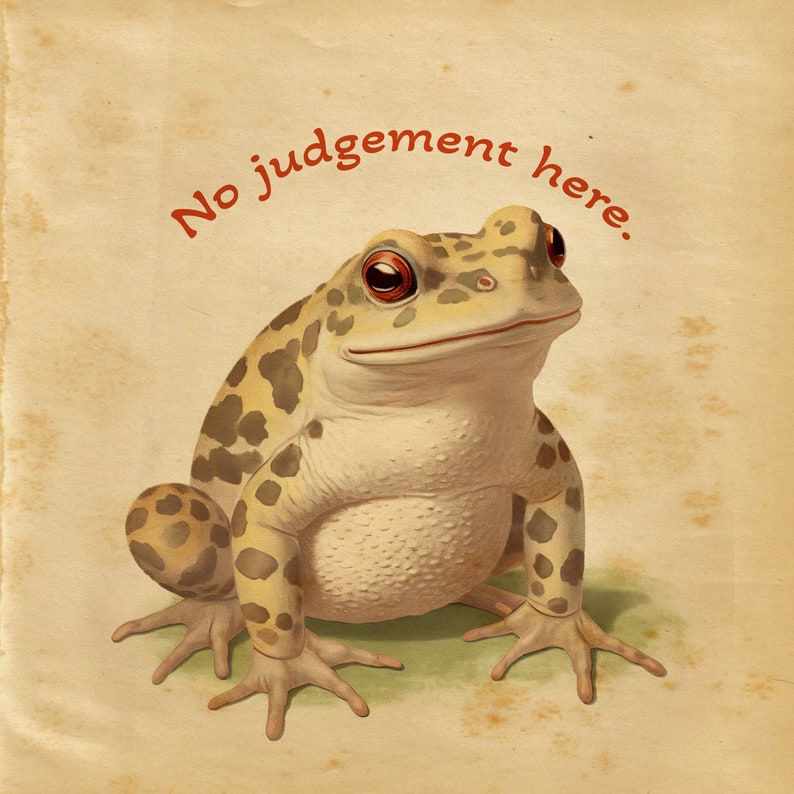 May include: A brown and yellow toad with red eyes sits on a beige background. The toad has a wide smile and the text "No judgement here." is written above it.