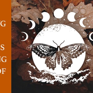 Halloween Moth & Moon phase Svg, Png, Eps, AI Instant Digital Download,  Halloween design, cricut file, celestial moth, creepy, spooky