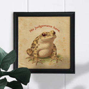May include: A framed print with a vintage aesthetic featuring a cartoon toad with the text "No judgement here."