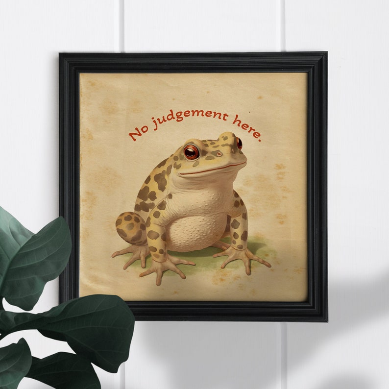 May include: A framed print with a vintage aesthetic featuring a cartoon toad with the text "No judgement here."