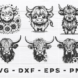 Puede incluir: Seis ilustraciones en blanco y negro de ganado vacuno de las Tierras Altas con diferentes poses. Una imagen presenta una vaca de las Tierras Altas con una corona de flores alrededor de su cabeza. El texto "SVG - DXF - EPS - PNG" est&aacute; en la parte inferior de la imagen.