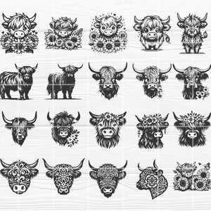 Puede incluir: Una colecci&oacute;n de 36 ilustraciones en blanco y negro de ganado de las tierras altas con varios elementos florales y decorativos. Las ilustraciones presentan diferentes poses y expresiones del ganado, incluyendo cuerpo completo, retratos y perfiles.