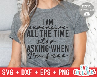 I Am Expensive All The Time svg - Funny Cut File - Sassy svg - svg - dxf - eps - png - Silhouette - Cricut - Digital File