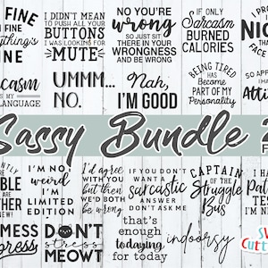 Sassy Bundle svg - Sarcastic Cut File - Funny svg Bundle - Quote - svg - svg - dxf - eps - png - Silhouette - Cricut - Digital File