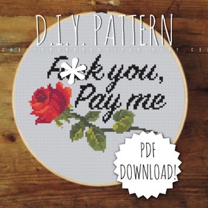 DIY F**k You Pay Me cross stitch PATTERN. Counted cross stitch pattern. Needlepoint pattern. Embroidery pattern.