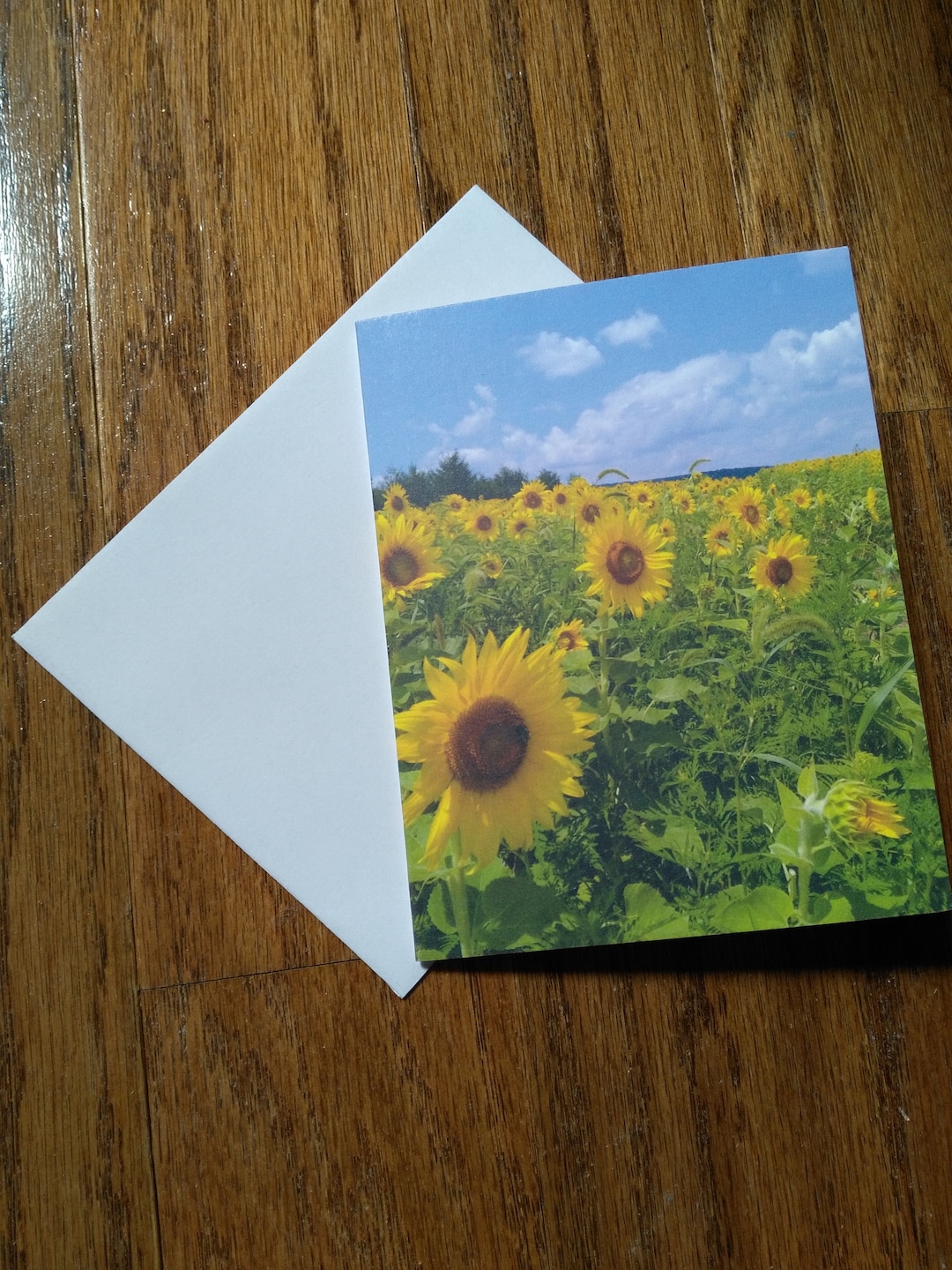Sunflower Field - 10 Blank Note Cards & Envelopes - Etsy UK