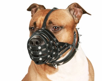 buy dog muzzle online