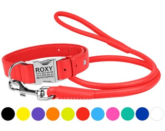 Dog collar with flat name tag Clearance