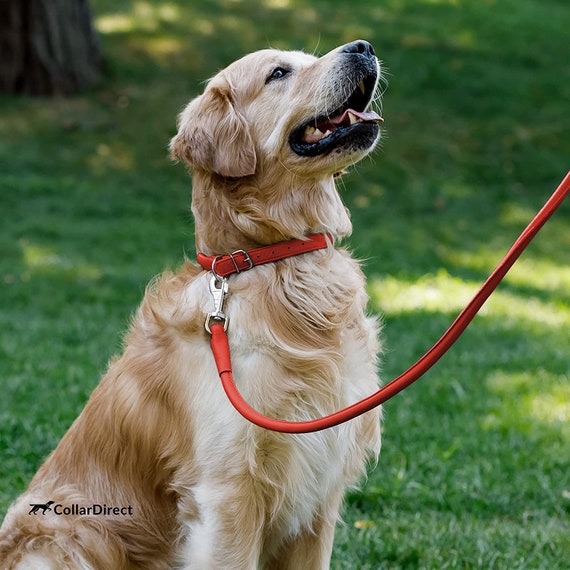 Humildad Consentimiento trabajo Collar de perro de cuero enrollado hecho a mano collares para - Etsy España
