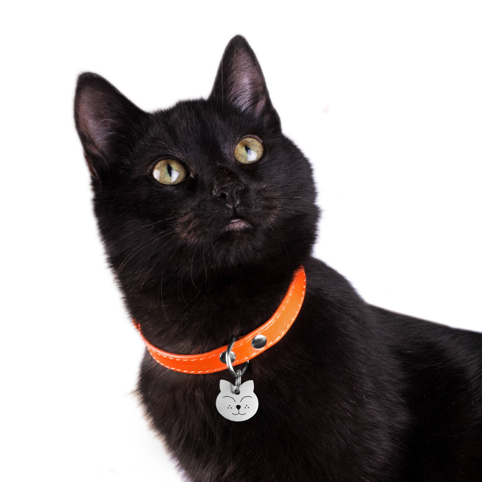 Cat Tag Cat ID Tag Personalized Cat Tag Kitten Tag Etsy