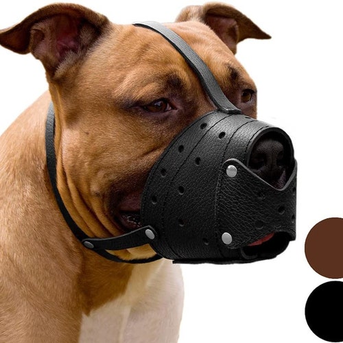 redline k9 muzzle