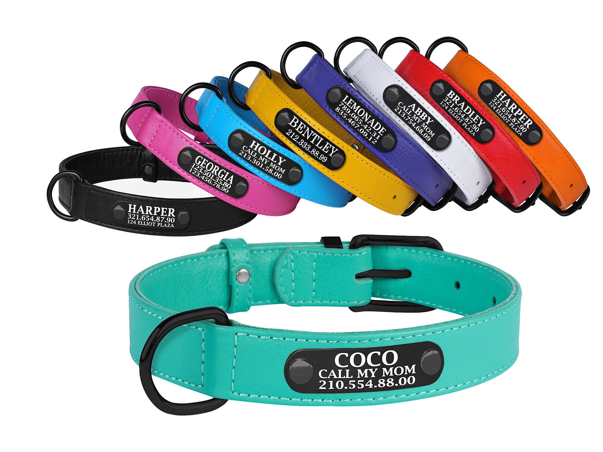 personalized leather dog collar with nameplate