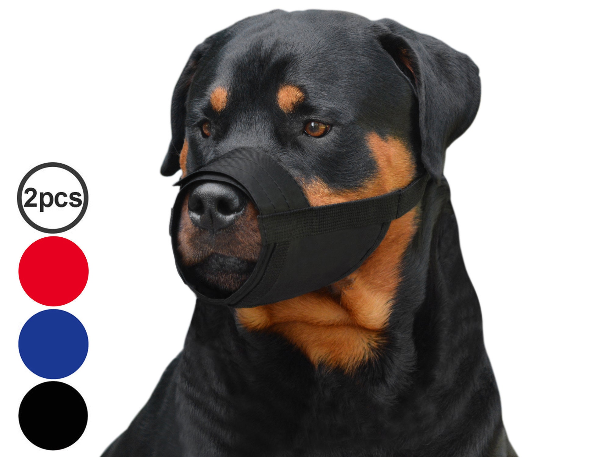 Are Rottweilers Velcro Dogs