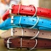 Dog Collar Leather, Rolled Dog Collar, Pet Collars from Small Cats to Large Dogs, Rope Dog Collar, Rolled Cat Collar 