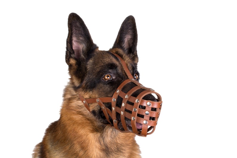 Dog Muzzle German Shepherd Leather Secure Basket Dog Muzzle German Shepherd Leather Secure Basket Image 0