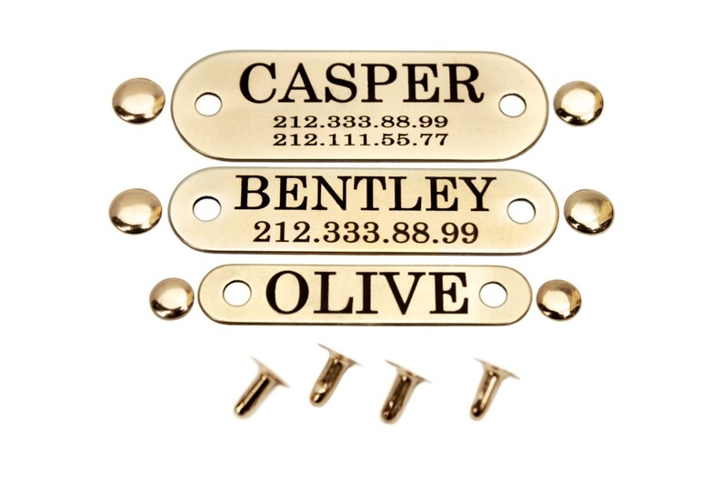 Dog Collar Nameplate Tag Personalized Brass or Stainless Steel Etsy