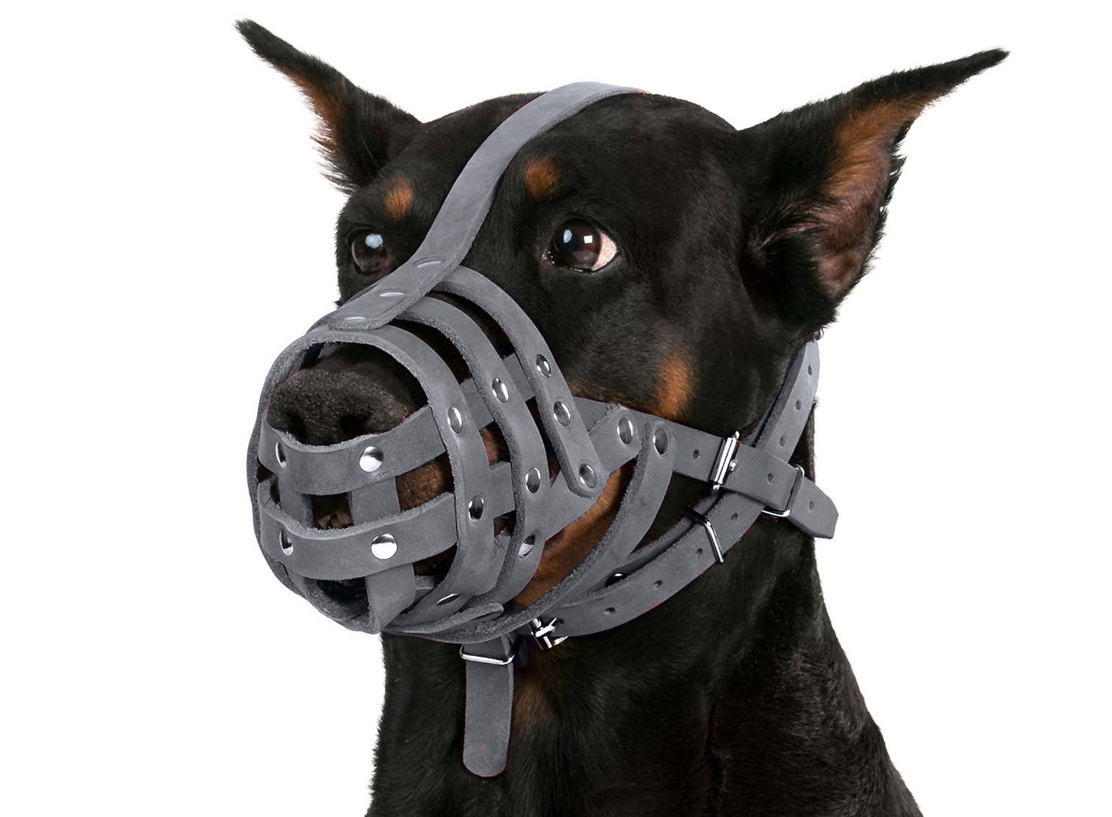 Leather Dog Muzzle Doberman German Shepherd Secure Basket 2 Etsy