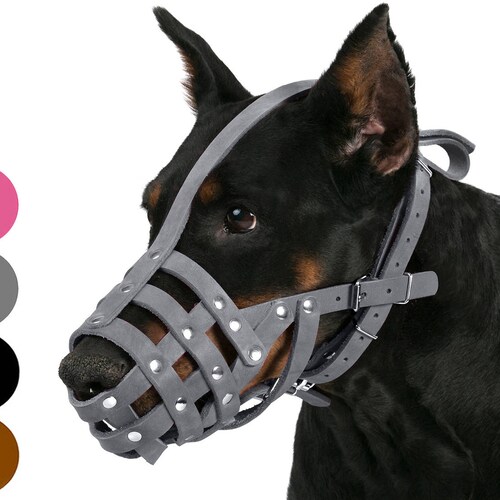 medium muzzle