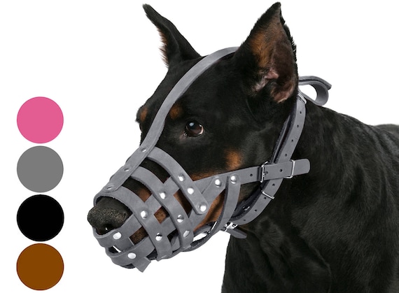 pink dog muzzle