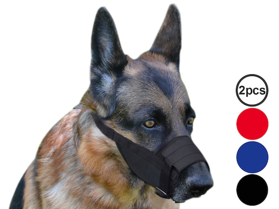 german shepherd with muzzle