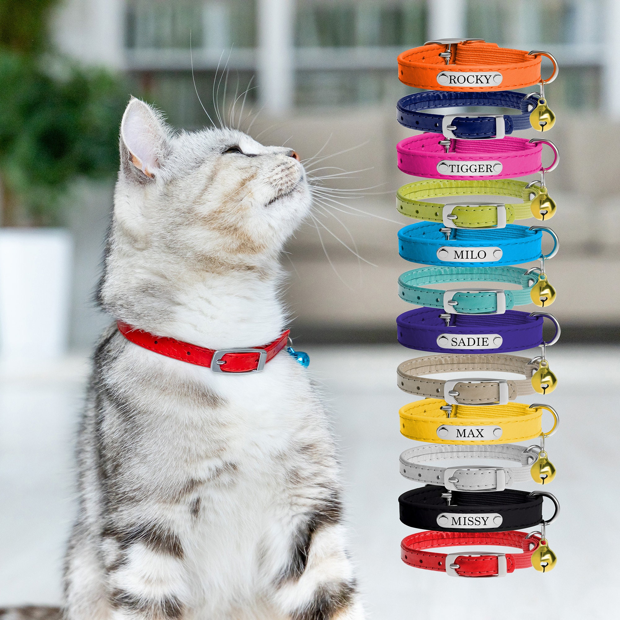 safety cat collars